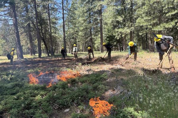 Workforce Development and Prescribed Fire Training 